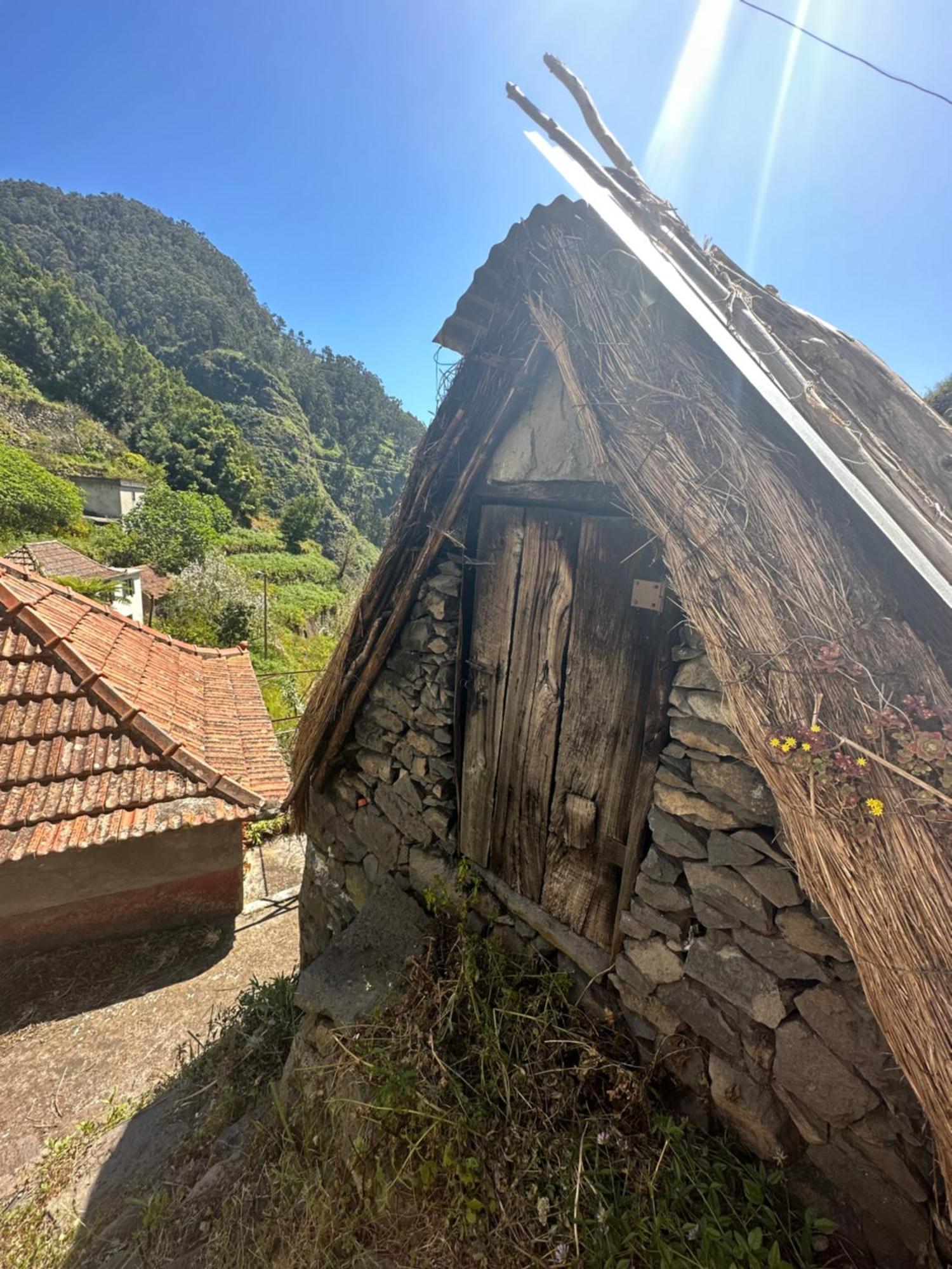 The Green Valley House São Vicente Zewnętrze zdjęcie