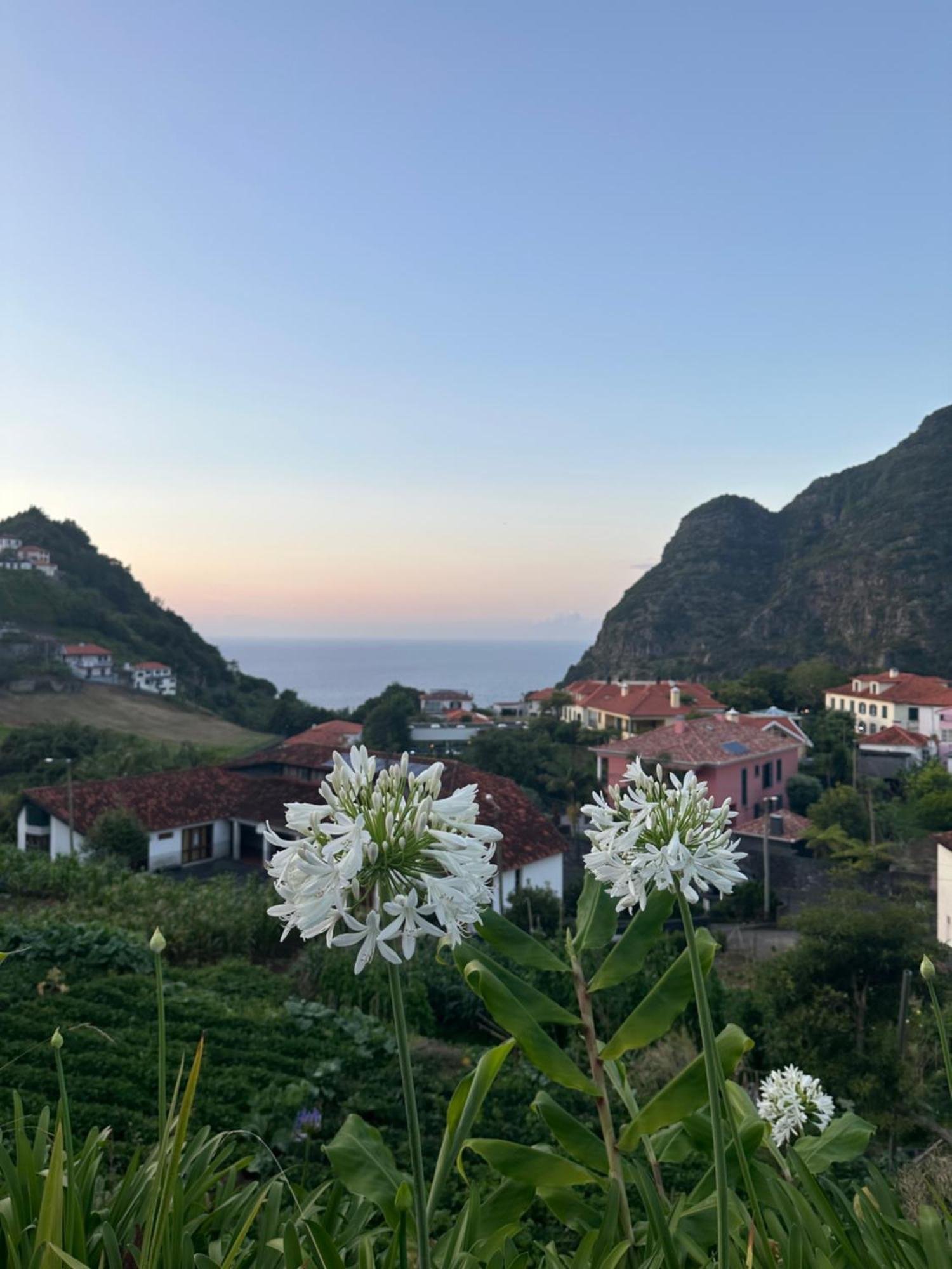 The Green Valley House São Vicente Zewnętrze zdjęcie